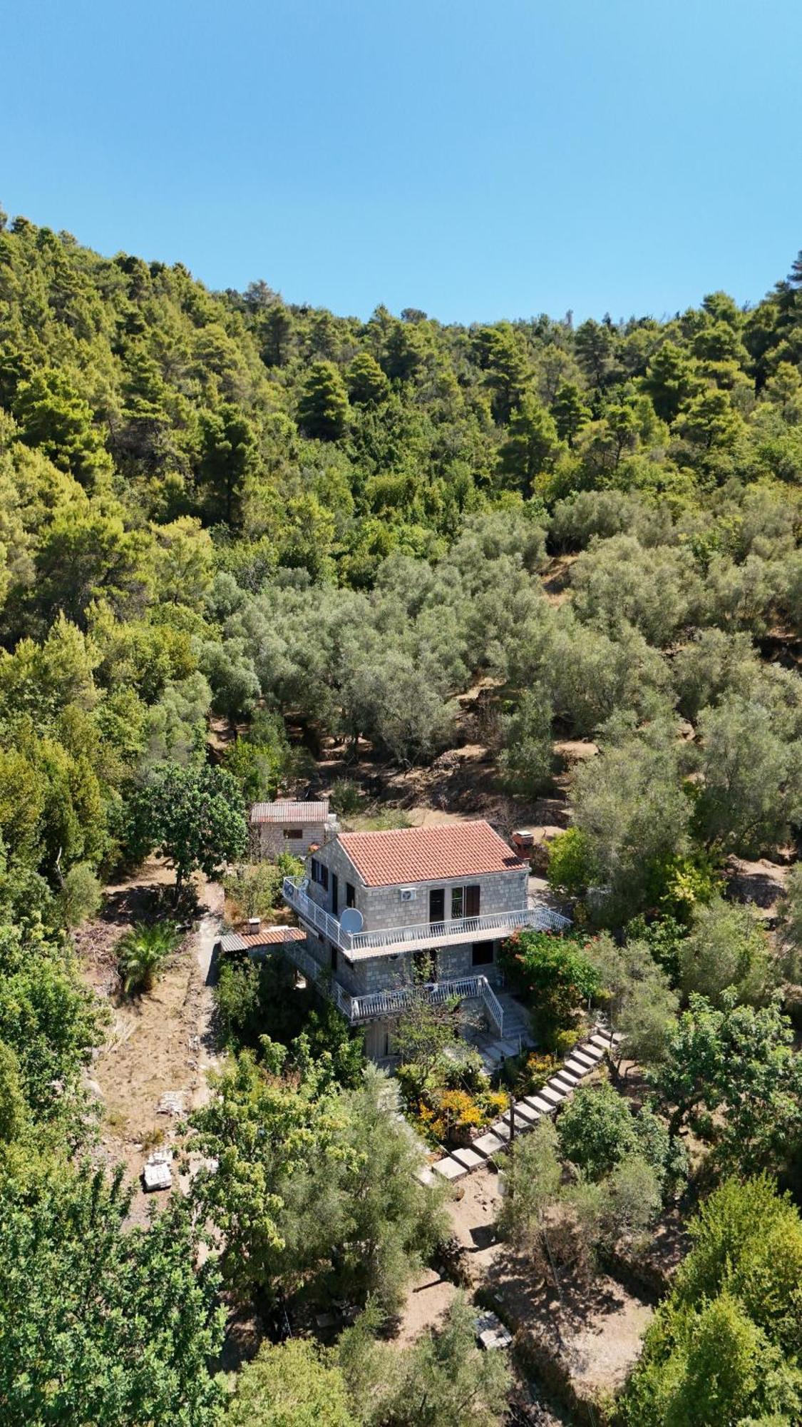Apartment Kod Jadranke Sipanska Luka  Exterior photo